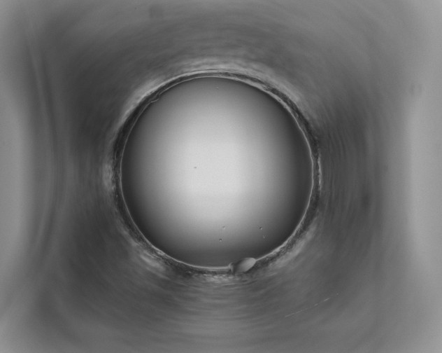 X0000111511501200907211152