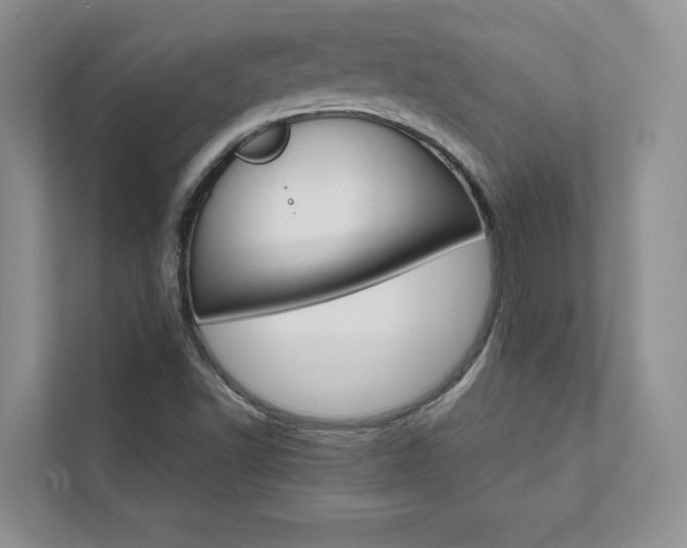 X0000111511502200907211152