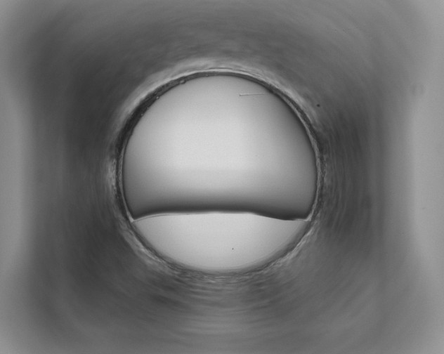 X0000111511503200907211152