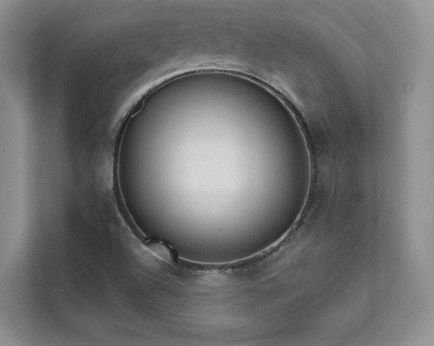 X0000111511504200907211152