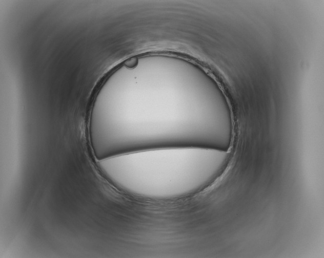 X0000111511505200907211152