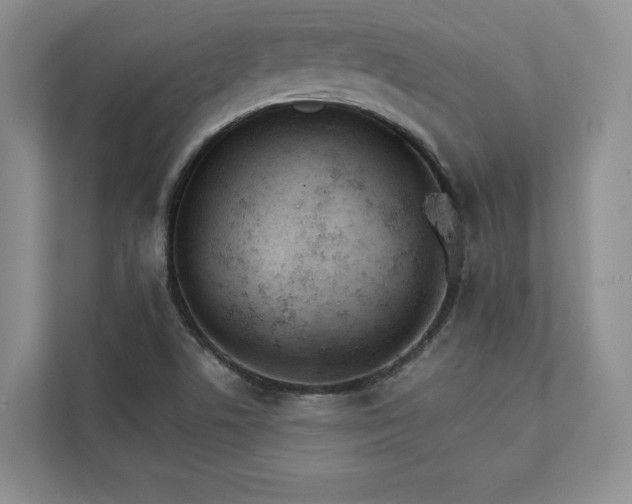 X0000111511506200907211152