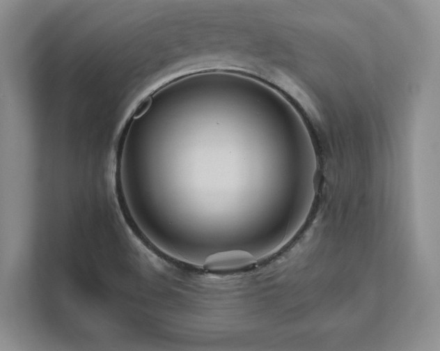 X0000111511508200907211152