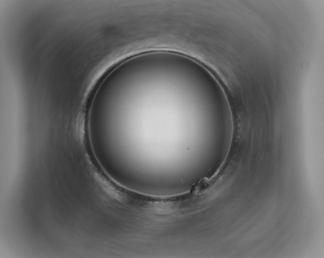 X0000111511511200907211152