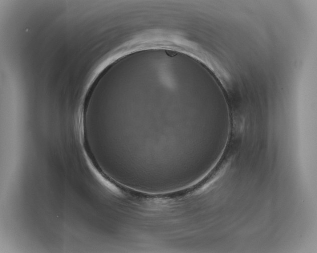 X0000111511515200907211152