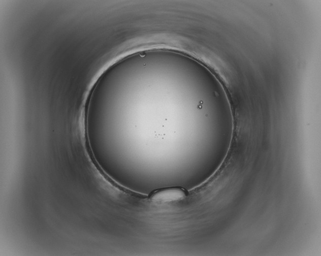 X0000111511516200907211152