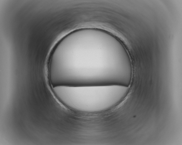 X0000111511517200907211153