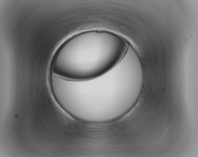 X0000111511518200907211153