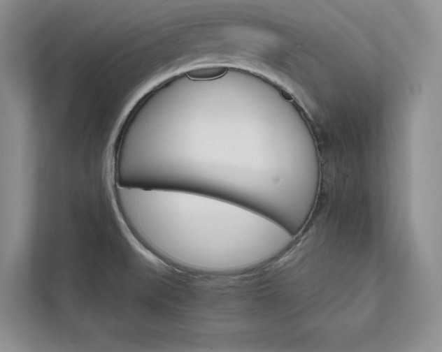 X0000111511519200907211153