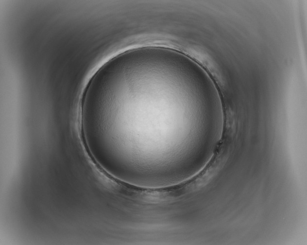 X0000111511520200907211153