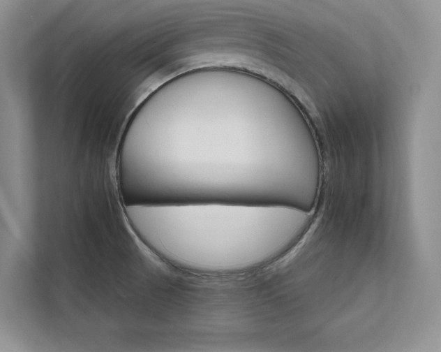 X0000111511521200907211153