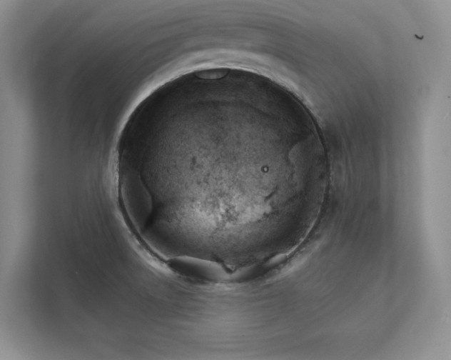 X0000111511522200907211153