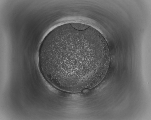 X0000111511523200907211153