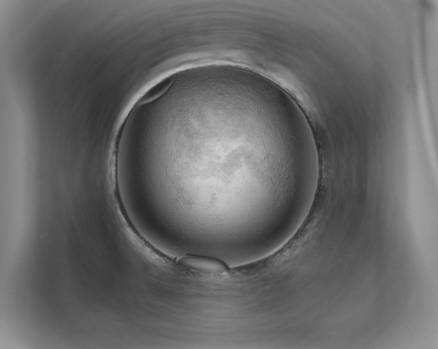 X0000111511524200907211153