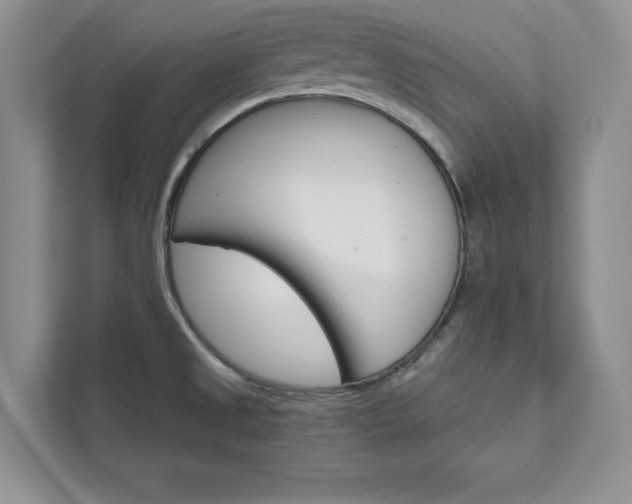 X0000111511525200907211153