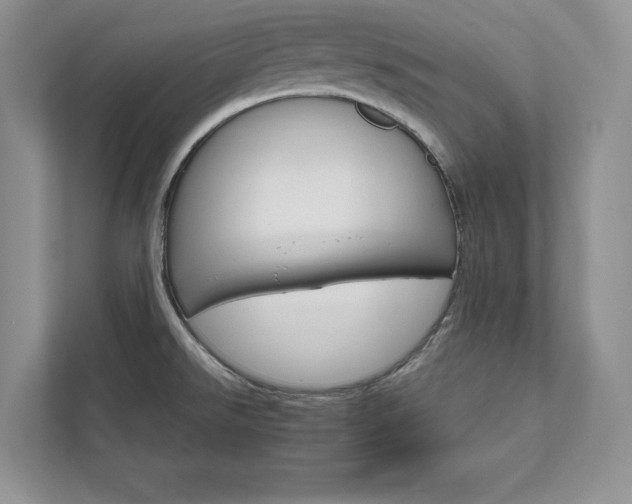X0000111511526200907211153