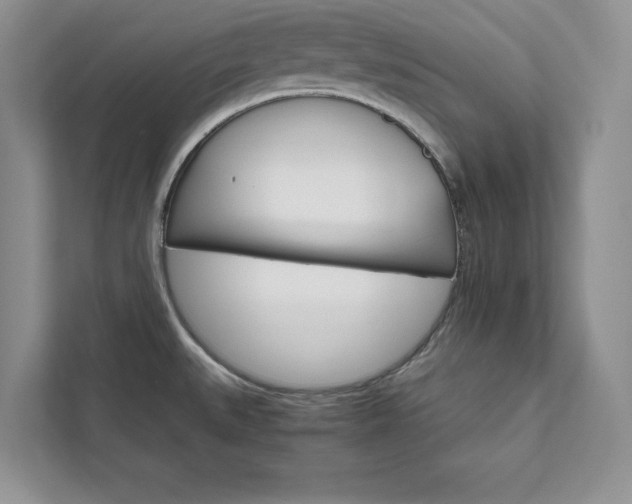 X0000111511527200907211153