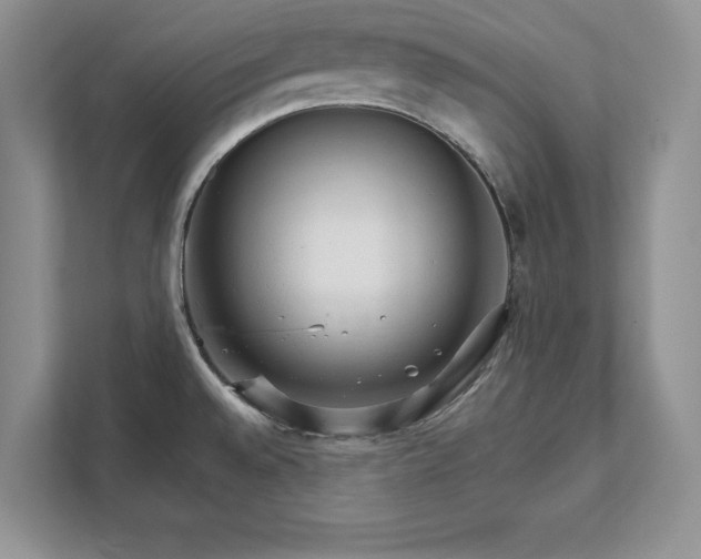 X0000111511528200907211153