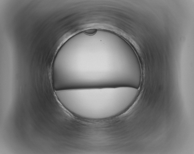 X0000111511529200907211153