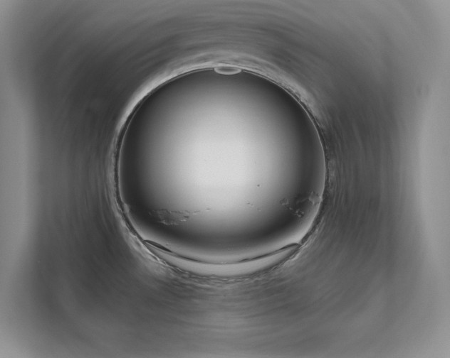 X0000111511530200907211153