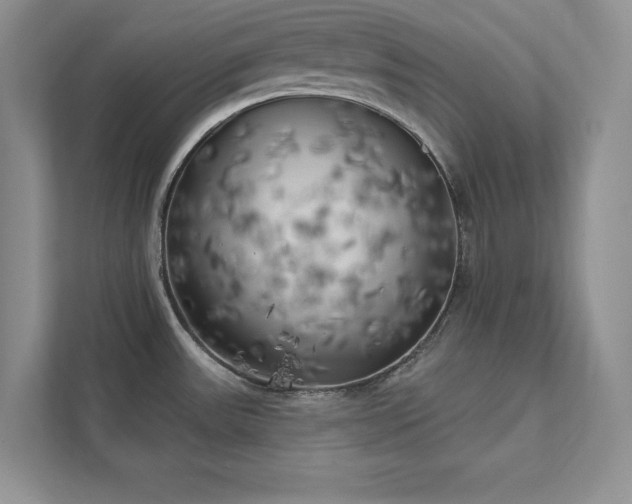 X0000111511531200907211153