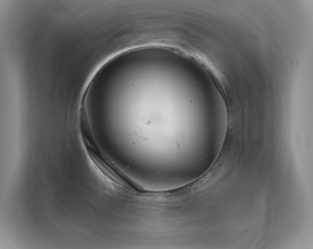 X0000111511532200907211153