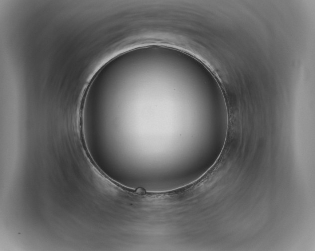 X0000111511535200907211153
