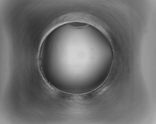 X0000111511536200907211153