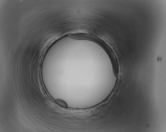 X0000111510001200907281326