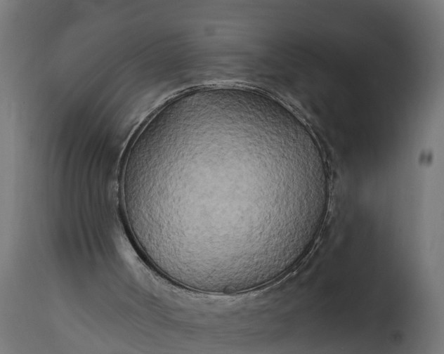 X0000111510002200907281326