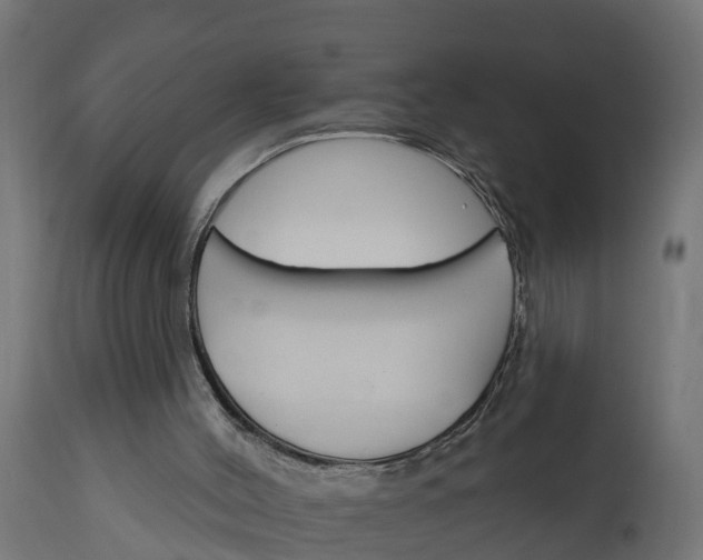 X0000111510004200907281325