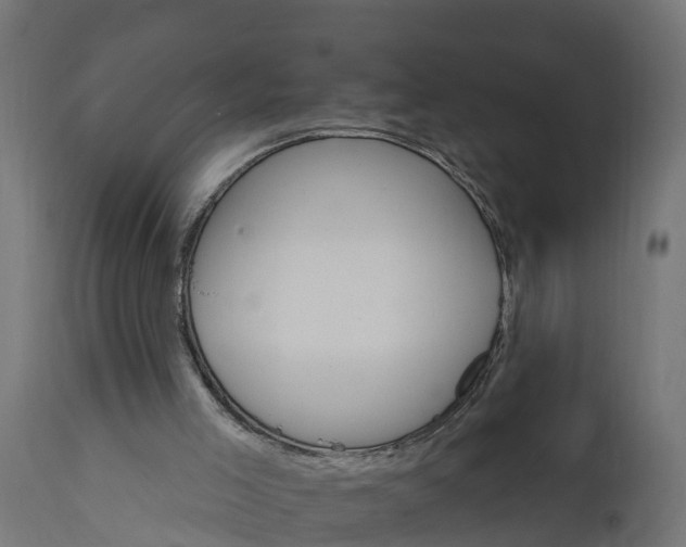 X0000111510005200907281325
