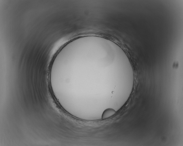 X0000111510006200907281325
