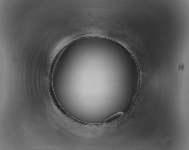 X0000111510007200907281325