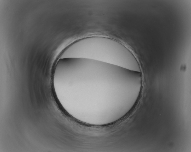 X0000111510008200907281325