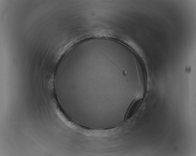 X0000111510009200907281325