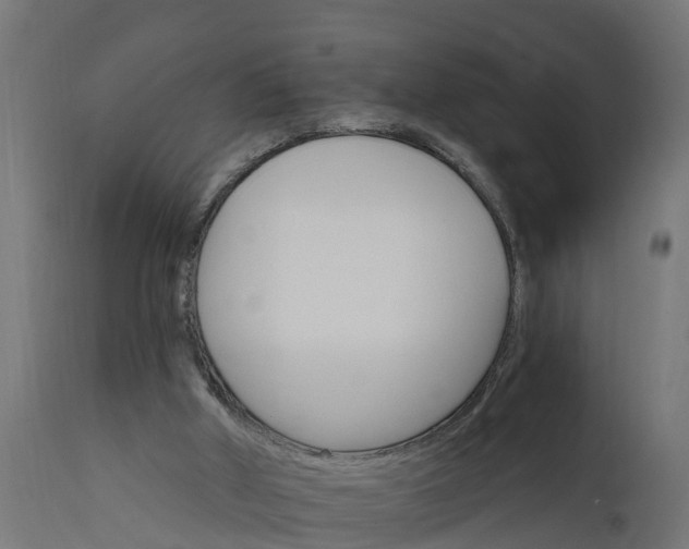 X0000111510010200907281325