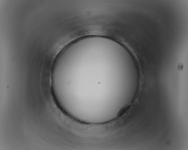 X0000111510011200907281325