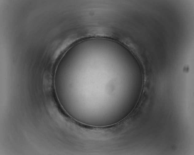 X0000111510012200907281325