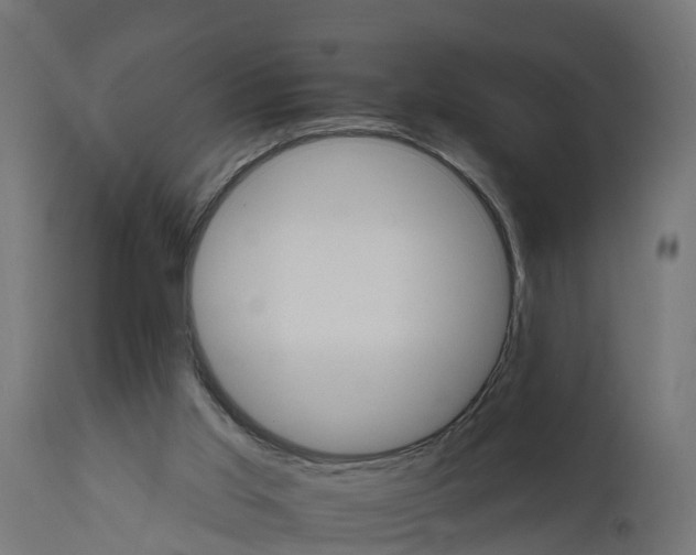 X0000111510013200907281325