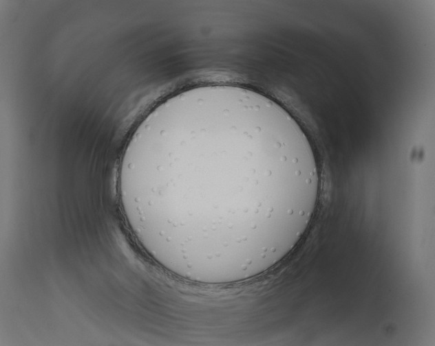 X0000111510014200907281325