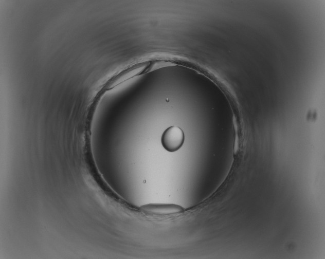 X0000111510015200907281325