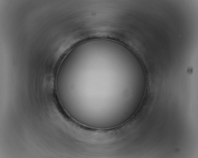 X0000111510016200907281325