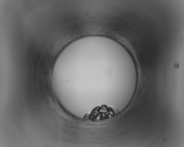 X0000111510017200907281325