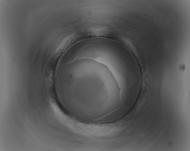 X0000111510018200907281325
