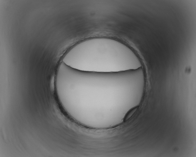X0000111510019200907281325