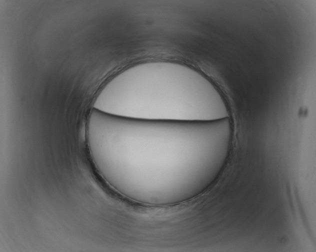 X0000111510021200907281325