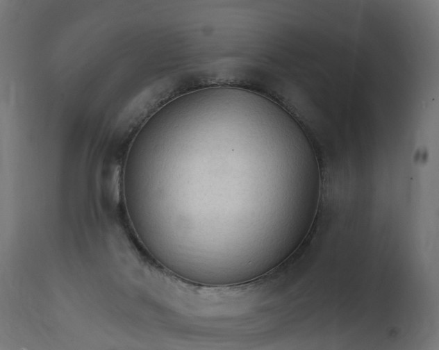 X0000111510022200907281325