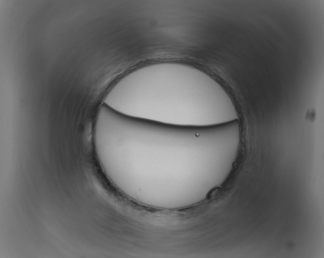 X0000111510024200907281325