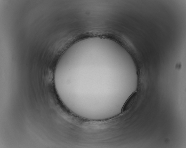 X0000111510025200907281325